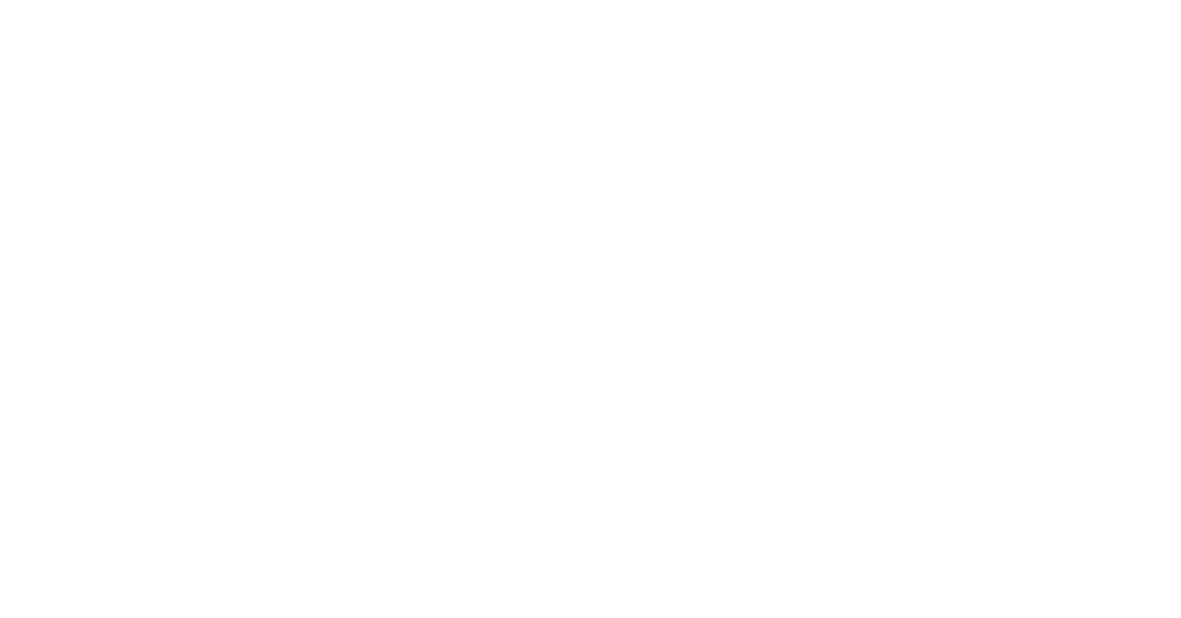 Pimax Logo