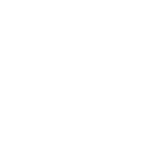 VPG Logo